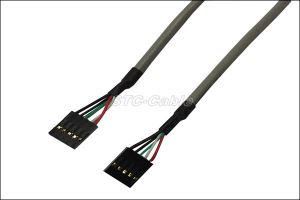 Tapón k'axt'i Dupon2.54mm macho ma macho Cable